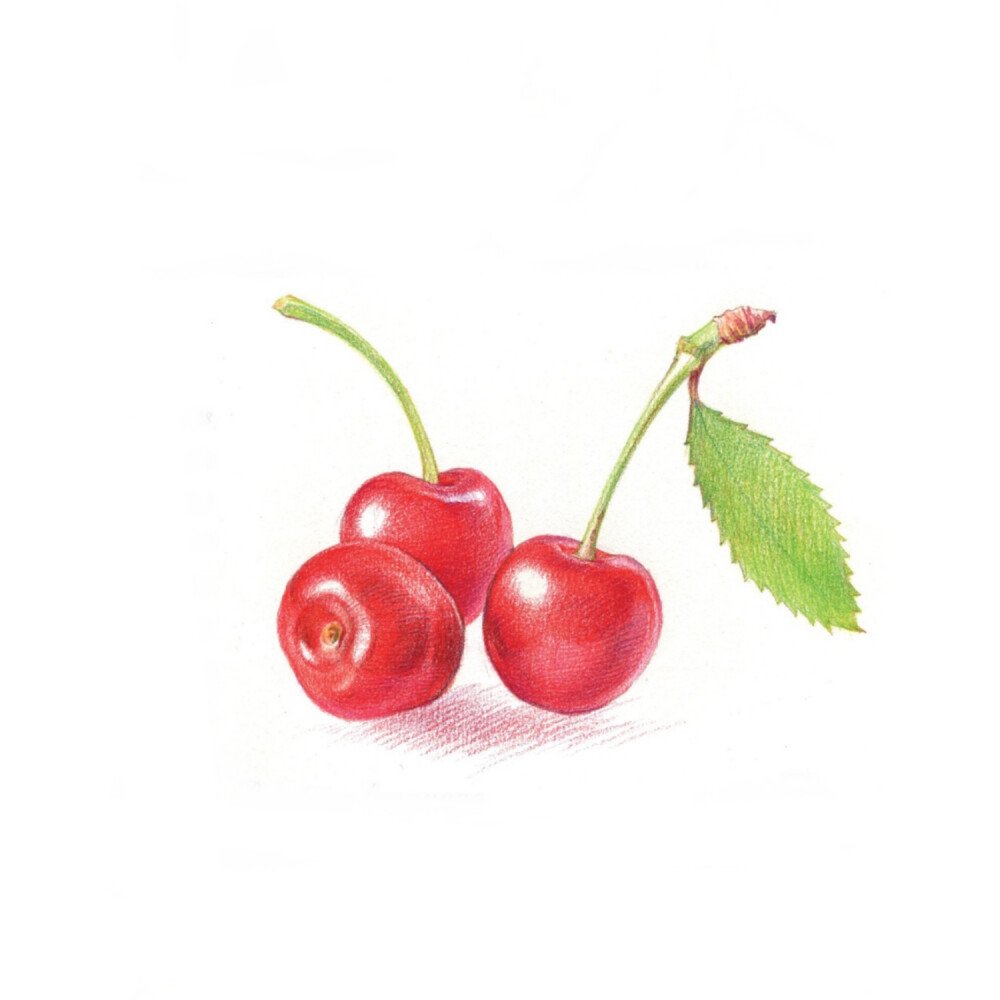 #彩铅水果# 樱桃…
