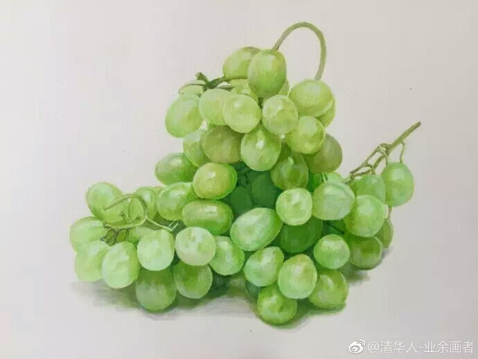 夏天来一串酸甜可口的葡萄吧！
图片来自微博@：清华人-业余画者