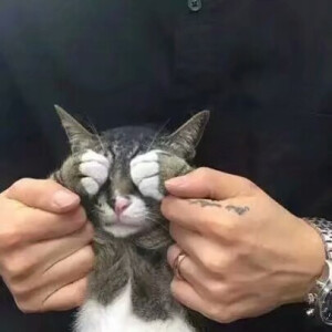 寒来暑往 
秋收冬藏 
我们来日方长