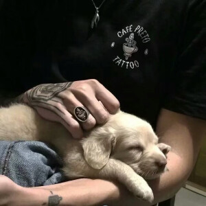 寒来暑往 
秋收冬藏 
我们来日方长