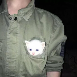 寒来暑往 
秋收冬藏 
我们来日方长