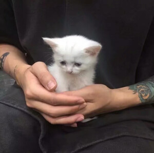 寒来暑往 
秋收冬藏 
我们来日方长