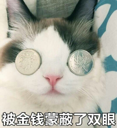 硬币眼