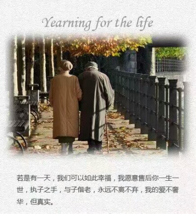 #九图系列#
the life