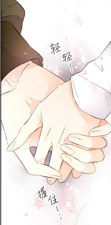 恋是樱草色