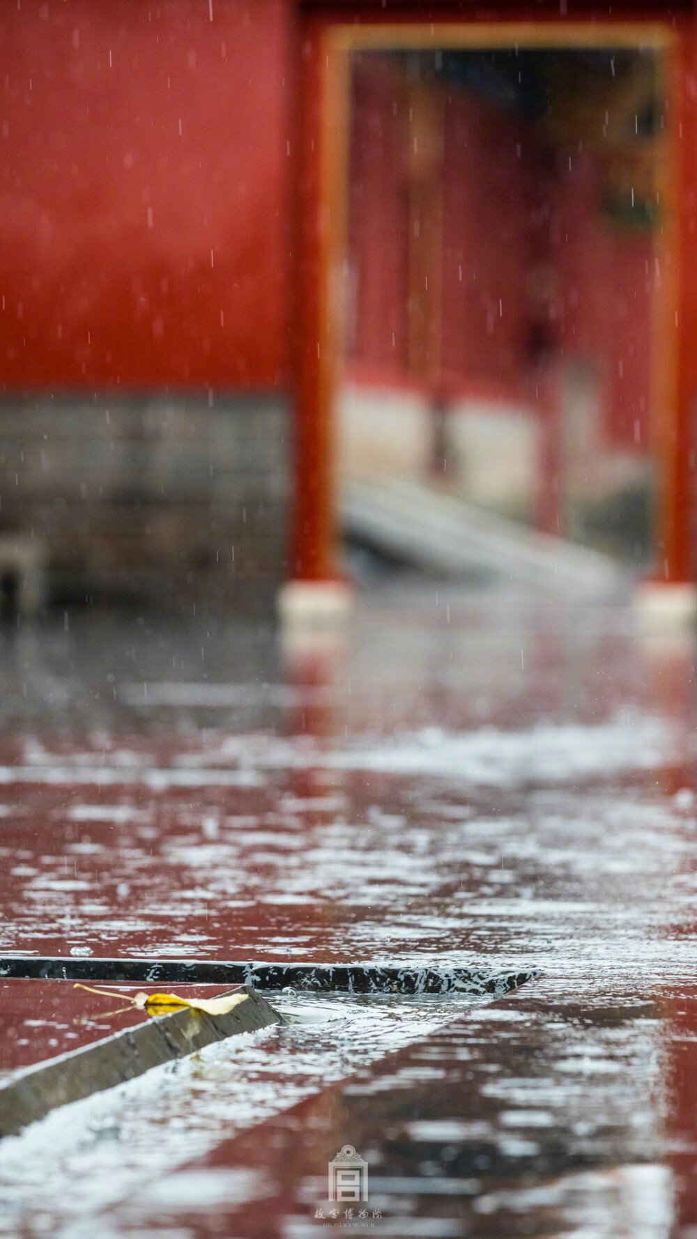 晚天细雨正霏霏