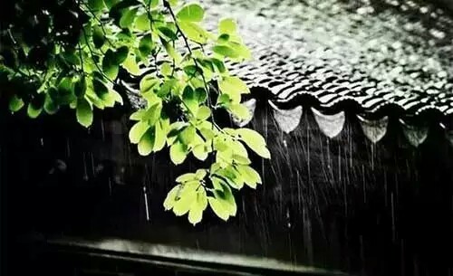 檐下雨