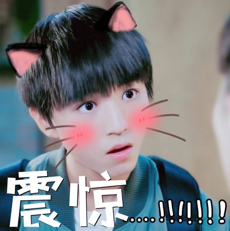 TFBOYS 王俊凯 表情包
