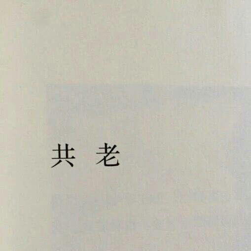 文字