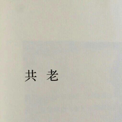 文字