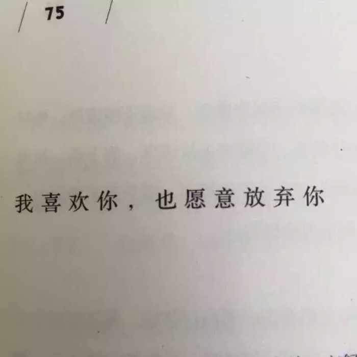 书摘文字