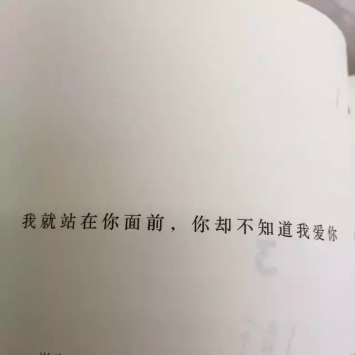 书摘文字