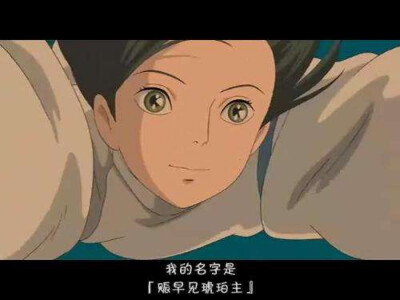 赈早见琥珀主