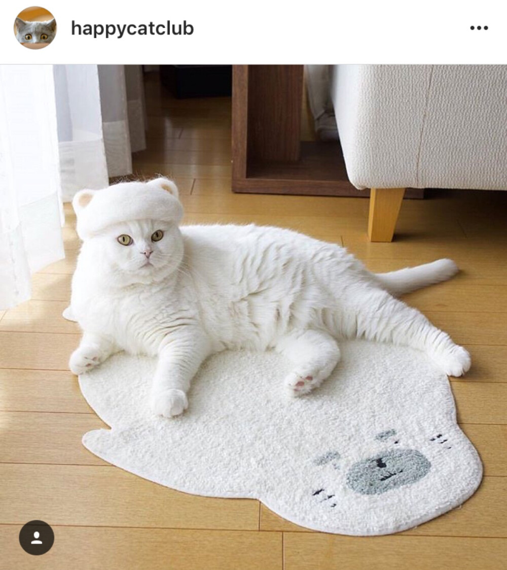 @happycatclub