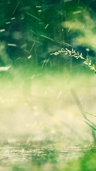 雨滴