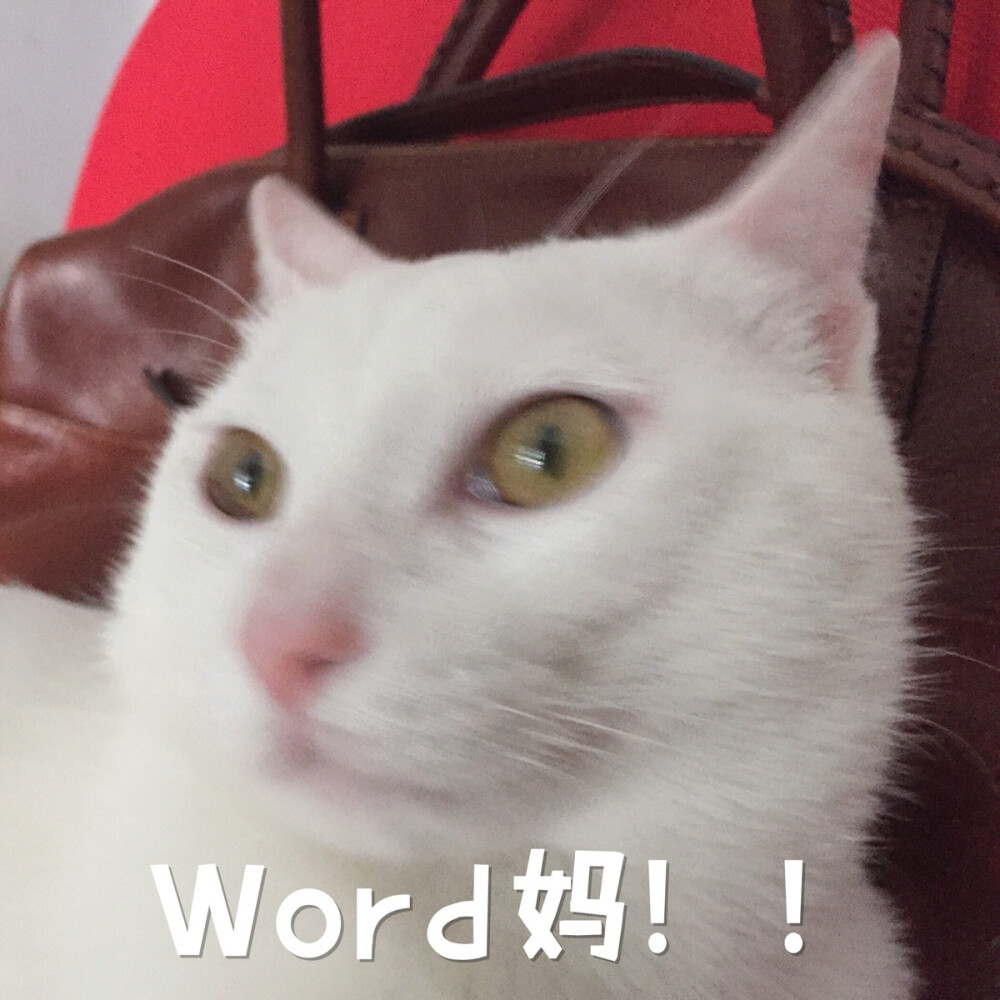 word妈