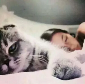 双人情头by染墨坊
喜欢你~不是因为你好不好看～而是你在特殊的时间给了别人给不了的感觉