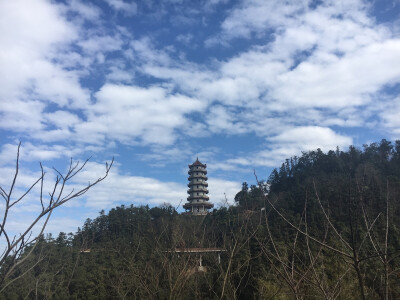 登登登山观景