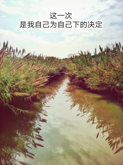 湿地公园