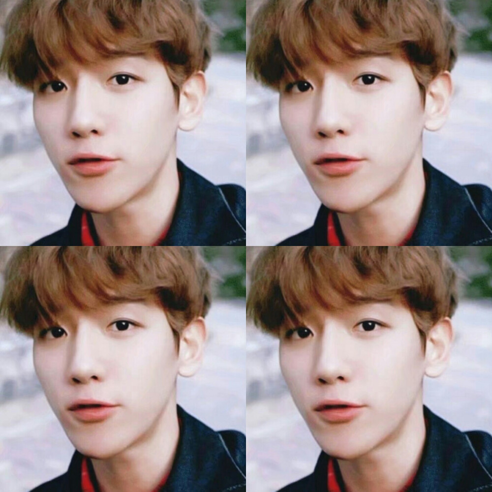 边伯贤 四格图#头像