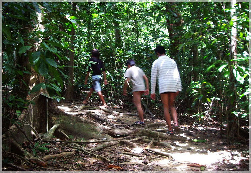 Malaysia Borneo, Sabah, Pulau Tiga Marine Park
马来西亚婆罗洲 沙巴州属 迪加岛海洋公园