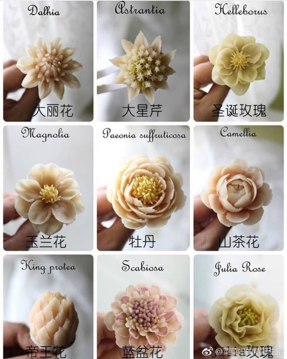 豆沙裱花