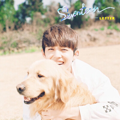 Seventeen S.coups 崔胜澈