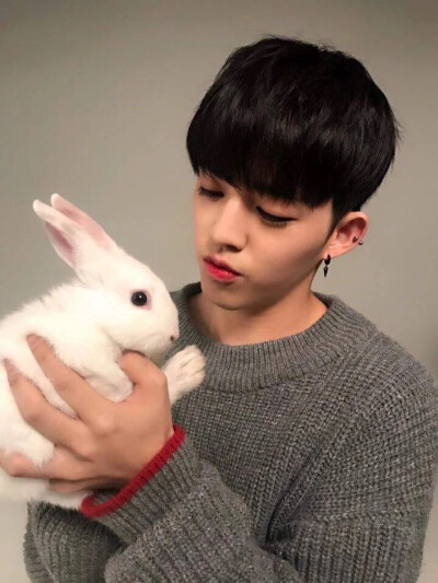 Seventeen S.coups 崔胜澈