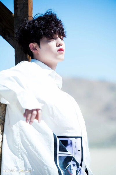 Seventeen S.coups 崔胜澈