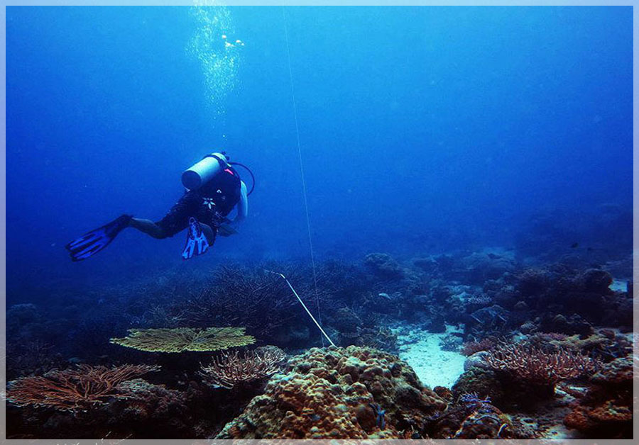 Malaysia Borneo, Sabah, Tun Mustapha Marine Park
马来西亚婆罗州 沙巴州属 敦穆塔法海洋公园 