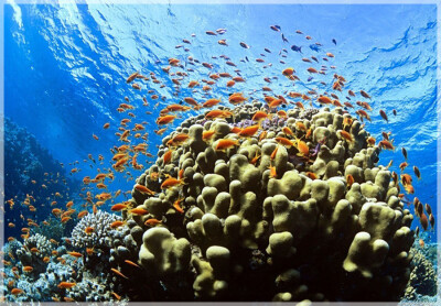 Malaysia Borneo, Sabah, Tun Mustapha Marine Park
马来西亚婆罗州 沙巴州属 敦穆塔法海洋公园 