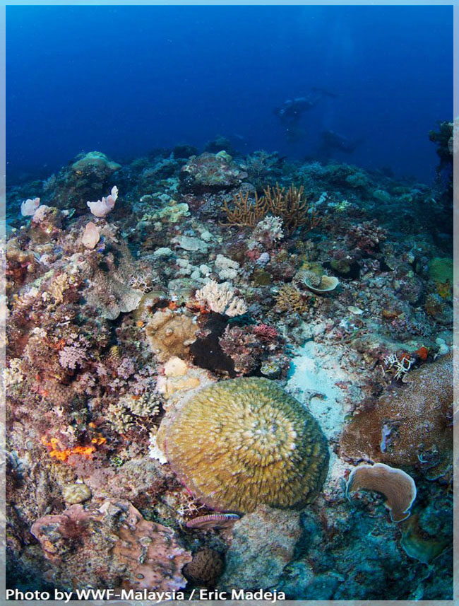 Malaysia Borneo, Sabah, Tun Mustapha Marine Park
马来西亚婆罗州 沙巴州属 敦穆塔法海洋公园 