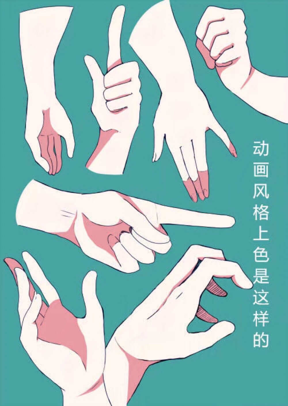 手 教程 绘画 画法 各个形态 参考 素材 - 堆糖，美图壁纸兴趣社区
