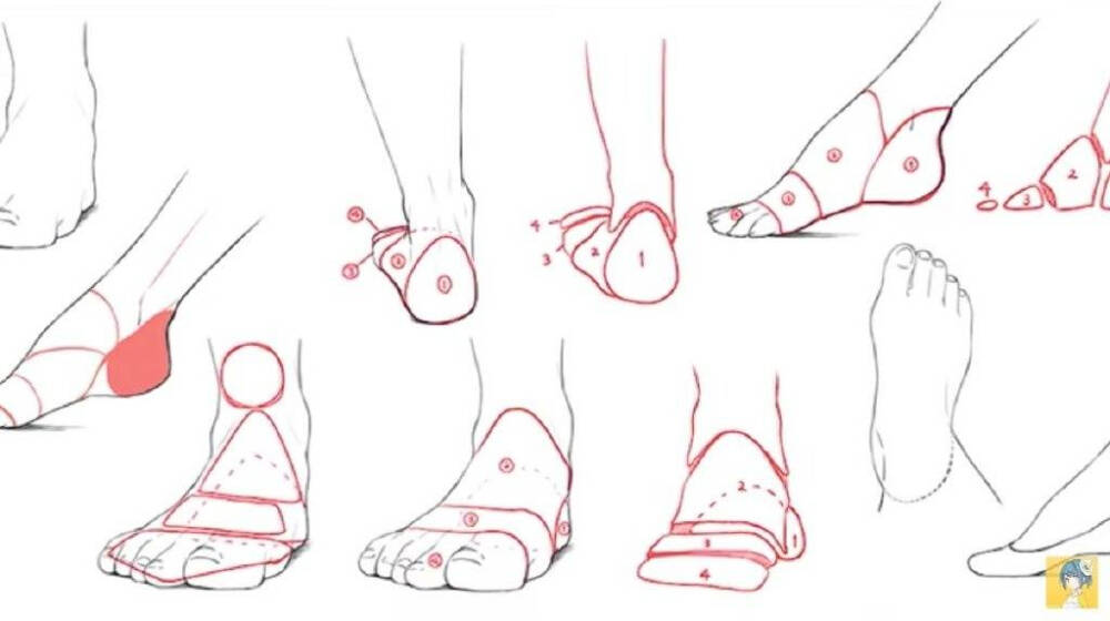 脚的结构or画法