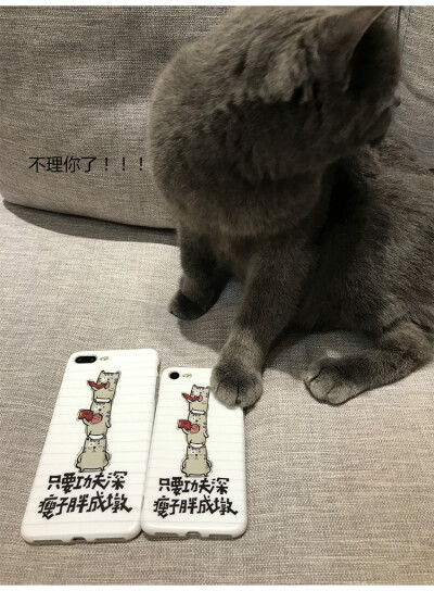 胖瘦猫iphone7手机壳苹果7plus磨砂软壳保护套硅胶简约日韩包邮