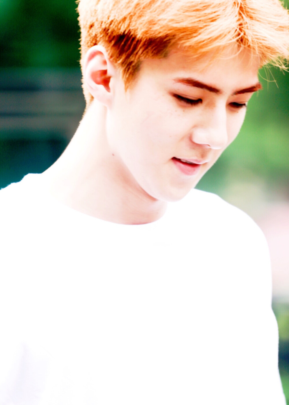 SeHun.吴世勋.EXO