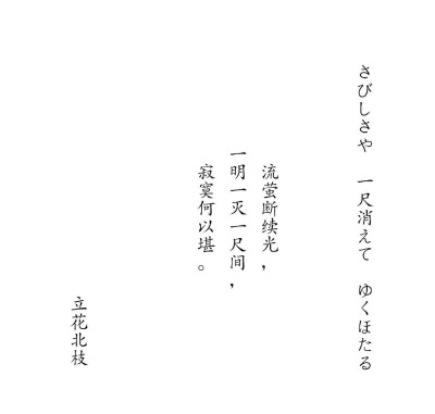 文字 立花北枝 「流萤断续光，一明一灭一尺间，寂寞何以堪」