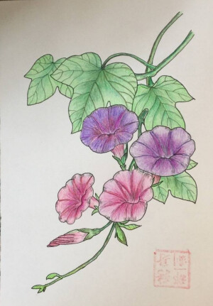 「色铅下的花世界」