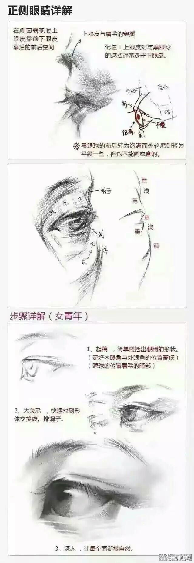 眼睛 素描（侵删）