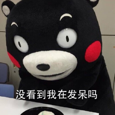 萌熊 吉祥物 kumamon 蠢萌 静静 恶搞 熊本熊 发呆