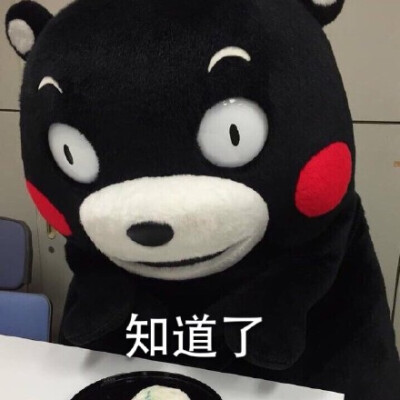 萌熊 吉祥物 kumamon 蠢萌 静静 恶搞 熊本熊 知道了