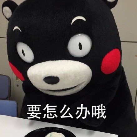 萌熊 吉祥物 kumamon 蠢萌 静静 恶搞 熊本熊 要怎么办