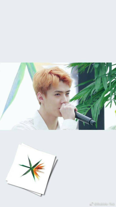 kokobop 吴世勋