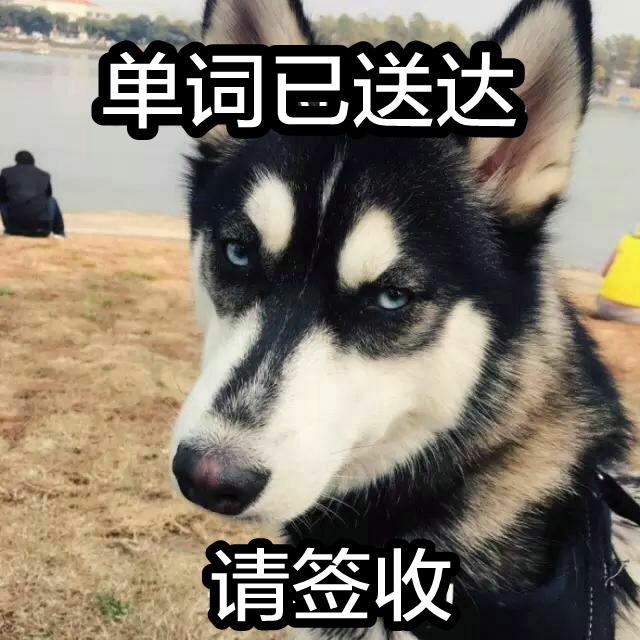 单词已送达，请签收