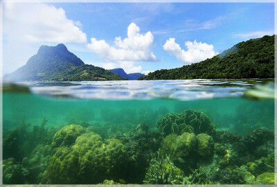 Malaysia Borneo, Sabah, Tun Sakaran Marine Park
马来西亚婆罗州 沙巴州属 敦沙佳浪海洋公园 