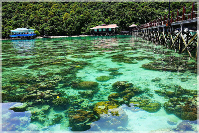 Malaysia Borneo, Sabah, Tun Sakaran Marine Park
马来西亚婆罗州 沙巴州属 敦沙佳浪海洋公园 