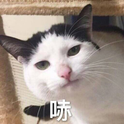 ，