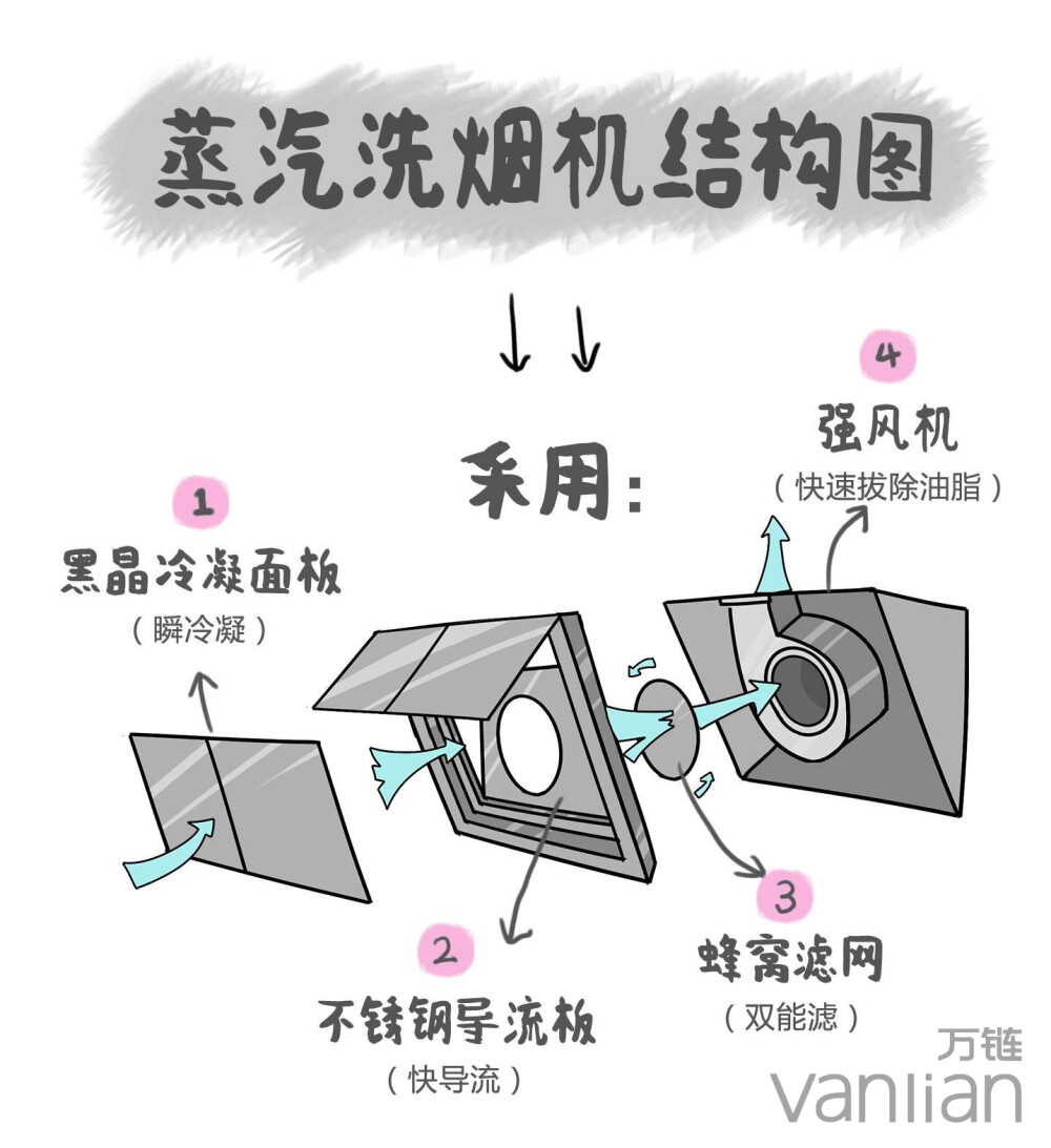 整齐洗烟机结构图