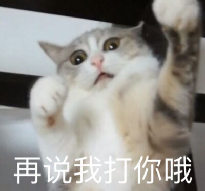 猴