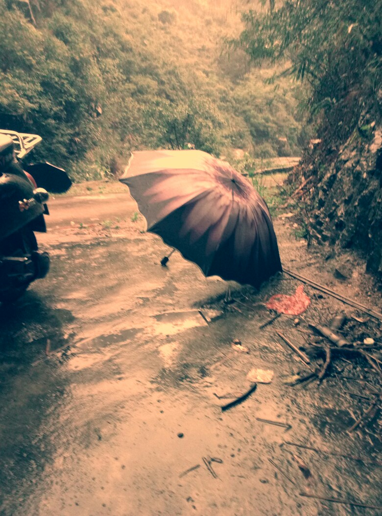 雨天黑伞，湿滑小路。